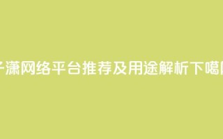 子潇网络平台推荐及用途解析