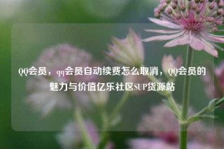 QQ会员，qq会员自动续费怎么取消，QQ会员的魅力与价值亿乐社区SUP货源站