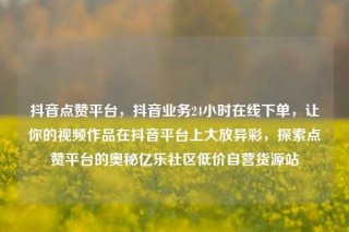 抖音点赞平台，抖音业务24小时在线下单，让你的视频作品在抖音平台上大放异彩，探索点赞平台的奥秘亿乐社区低价自营货源站