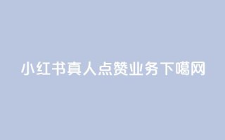 小红书真人点赞业务