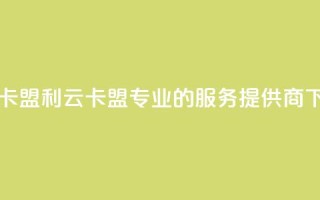 利云卡盟 - 利云卡盟：专业的SEO服务提供商!