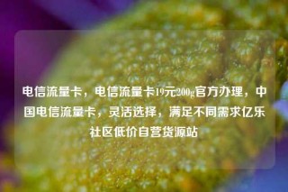 电信流量卡，电信流量卡19元200g官方办理，中国电信流量卡，灵活选择，满足不同需求亿乐社区低价自营货源站
