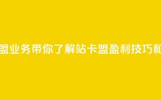 b站卡盟业务 - B站卡盟业务带你了解B站卡盟、盈利技巧和使用方法!