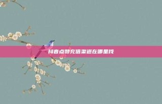 抖音点赞充值渠道在哪里找