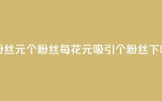 ks涨粉丝1元1000个粉丝(每花1元，吸引1000个ks粉丝)