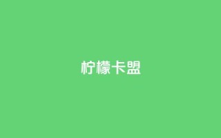 柠檬卡盟,24小时低价在线下单平台雷神 - QQ人气访客 - b站业务网