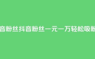 一元一万抖音粉丝 - 抖音粉丝一元一万，轻松吸粉秘籍!