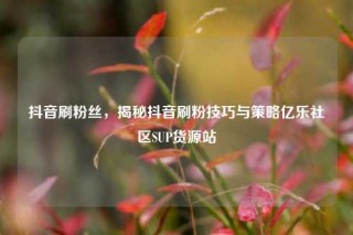 抖音刷粉丝，揭秘抖音刷粉技巧与策略亿乐社区SUP货源站