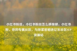 小红书粉丝，小红书粉丝怎么移除掉，小红书粉，你的专属社区，与你紧密相连亿乐社区SUP货源站