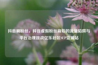 抖音刷粉丝，抖音虚假粉丝背后的流量陷阱与平台治理挑战亿乐社区SUP货源站