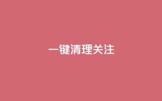 ks一键清理关注,抖音推广24小时自助平台 - 快手务业网站平台24小时 - qq下单业务平台空间