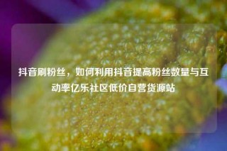 抖音刷粉丝，如何利用抖音提高粉丝数量与互动率亿乐社区低价自营货源站