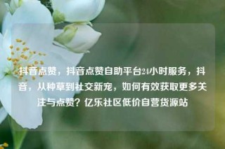 抖音点赞，抖音点赞自助平台24小时服务，抖音，从种草到社交新宠，如何有效获取更多关注与点赞？亿乐社区低价自营货源站
