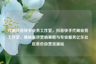 代刷抖音快手业务工作室，抖音快手代刷业务工作室，揭秘高效营销策略与专业服务亿乐社区低价自营货源站