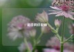 超合同价说明