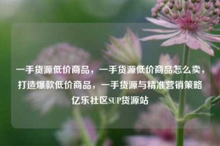 一手货源低价商品，一手货源低价商品怎么卖，打造爆款低价商品，一手货源与精准营销策略亿乐社区SUP货源站