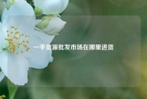 一手货源批发市场在哪里进货