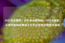 小红书点赞网，小红书点赞网址，小红书崛起，从零开始到点赞成王亿乐社区低价自营货源站