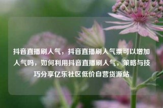 抖音直播刷人气，抖音直播刷人气票可以增加人气吗，如何利用抖音直播刷人气，策略与技巧分享亿乐社区低价自营货源站