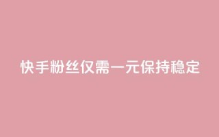 快手10000粉丝仅需一元保持稳定