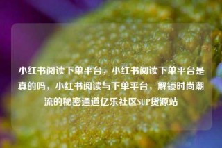 小红书阅读下单平台，小红书阅读下单平台是真的吗，小红书阅读与下单平台，解锁时尚潮流的秘密通道亿乐社区SUP货源站