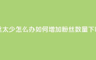 粉丝太少怎么办 - 如何增加粉丝数量？!