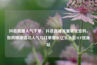 抖音直播人气下单，抖音直播流量转化密码，如何精准撬动人气与订单增长亿乐社区SUP货源站