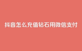 抖音怎么充值钻石用微信支付,1元3000粉丝快手不掉粉 - qq空间访问刷人气网站 - pubg卡网24小时自助下单
