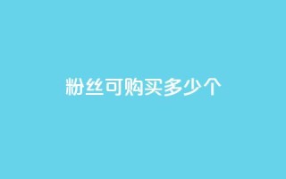 粉丝可购买多少个？