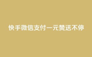 快手微信支付：一元赞送不停