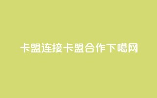 卡盟连接(卡盟合作)