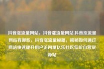 抖音涨流量网站，抖音涨流量网站,抖音涨流量网站有哪些，抖音涨流量秘籍，揭秘如何通过网站快速提升用户访问量亿乐社区低价自营货源站