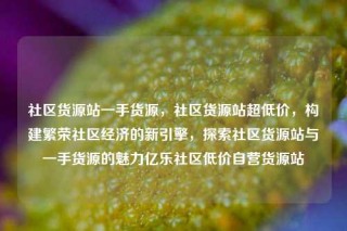 社区货源站一手货源，社区货源站超低价，构建繁荣社区经济的新引擎，探索社区货源站与一手货源的魅力亿乐社区低价自营货源站