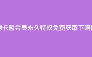 刷卡盟QQ会员永久特权 - 免费获取