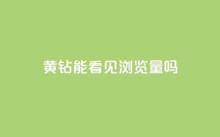 qq黄钻能看见浏览量吗,qq赞自助下单 - 刷qq超级会员svip教程视频 - 快手涨粉用什么工具好