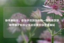 快手刷粉丝，在快手找到你的粉—如何高效获取并维护粉丝亿乐社区低价自营货源站