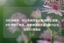 小红书阅读，小红书阅读笔记满8篇什么意思，小红书热文精选，探索阅读的乐趣与魅力亿乐社区SUP货源站