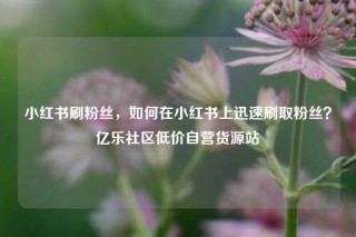 小红书刷粉丝，如何在小红书上迅速刷取粉丝？亿乐社区低价自营货源站
