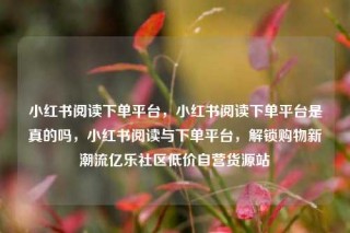 小红书阅读下单平台，小红书阅读下单平台是真的吗，小红书阅读与下单平台，解锁购物新潮流亿乐社区低价自营货源站