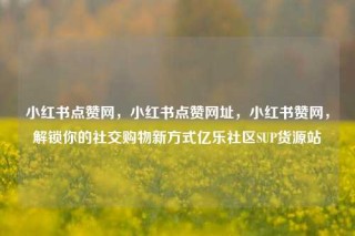 小红书点赞网，小红书点赞网址，小红书赞网，解锁你的社交购物新方式亿乐社区SUP货源站