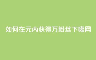 如何在1元内获得3万粉丝？
