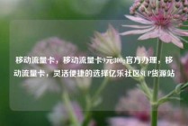 移动流量卡，移动流量卡9元300g官方办理，移动流量卡，灵活便捷的选择亿乐社区SUP货源站