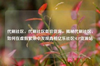 代刷社区，代刷社区低价货源，揭秘代刷社区，如何在虚假繁荣中发现真相亿乐社区SUP货源站