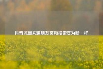 抖音流量来源朋友页和搜索页为啥一样