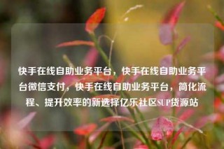 快手在线自助业务平台，快手在线自助业务平台微信支付，快手在线自助业务平台，简化流程、提升效率的新选择亿乐社区SUP货源站