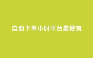 自助下单24小时平台最便宜,一元买赞app - 947卡盟 - vx小号批发发卡网