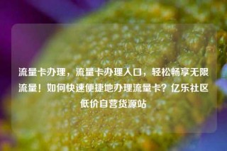 流量卡办理，流量卡办理入口，轻松畅享无限流量！如何快速便捷地办理流量卡？亿乐社区低价自营货源站