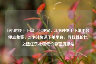 24小时快手下单平台便宜，24小时快手下单平台便宜免费，24小时快速下单平台，寻找性价比之选亿乐社区低价自营货源站