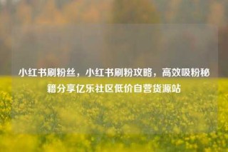 小红书刷粉丝，小红书刷粉攻略，高效吸粉秘籍分享亿乐社区低价自营货源站