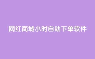 网红商城24小时自助下单软件 - 24小时自助下单软件，让网红商城轻松畅销!